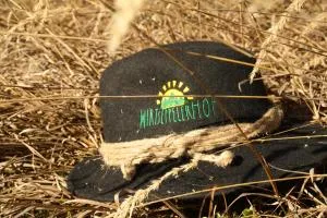 Wirtseppelerhof Apartments - Platzl