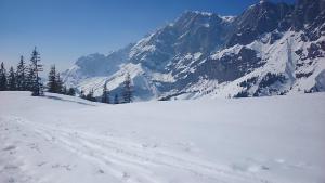 Appartmenthaus Hochkönig