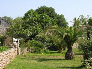 Maisons de vacances Fully restored house from 1816 swimmingpool Corsica : photos des chambres