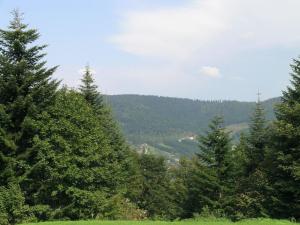 Chalets Quaint Chalet in Ventron with Roofed Terrace : photos des chambres