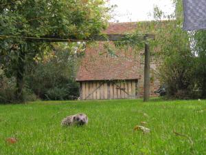 Maisons de vacances Cozy Holiday Home in Ceauc : photos des chambres