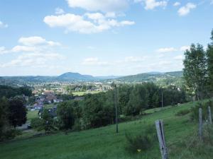 Chalets Beautiful chalet with sauna and views of Vosges : photos des chambres