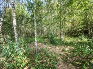 Chalets Beautiful chalet with sauna and views of Vosges : photos des chambres