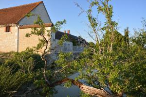 Maisons d'hotes Tartigousse : photos des chambres