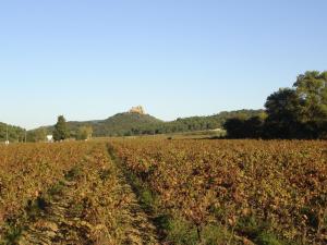 Maisons de vacances house with private swimming pool close to Narbonne : photos des chambres