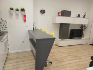 Studio apartment Arija