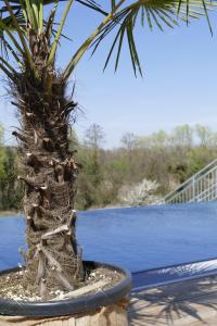 Grandhotel Niederösterreichischer Hof