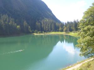 Chalets Spacious chalet near the ski area : photos des chambres