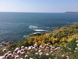 B&B / Chambres d'hotes La Belle Relax - calme et tranquillite assures - 2 personnes : photos des chambres