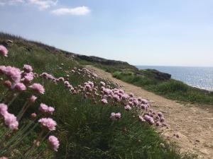 B&B / Chambres d'hotes La Belle Relax - calme et tranquillite assures - 2 personnes : photos des chambres