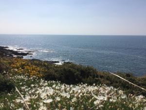 B&B / Chambres d'hotes La Belle Relax - calme et tranquillite assures - 2 personnes : photos des chambres