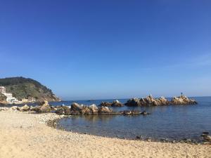 Port Marina Palamós