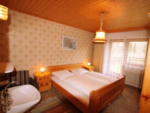 Apartment in St Gallenkirch near Ski Slopes