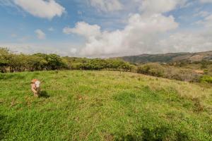 Cabañas Valle Campanas - Monteverde, Costa Rica