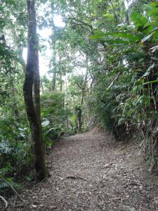 Pousada Recanto Águas Vivas