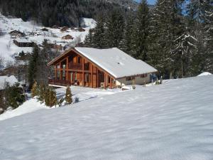 Sunny Chalet in Les Gets with Jacuzzi