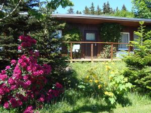 Chata Luxury Cottage in Grunbach Saxony near Lake Grünbach Německo
