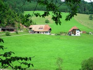 Black Forest farmhouse in charming location