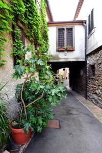 B&B IL CASTELLO