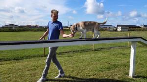 Thorsminde Camping & Cottages