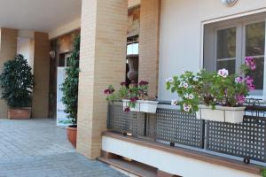 Hotel Marisma Sancti Petri