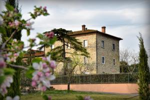 Appartamento con 1 Camera da Letto e Vista Giardino