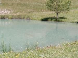 Campings Camping du Villard : photos des chambres