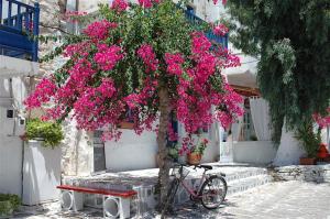 Orange Apartment Antiparos Greece