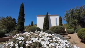 Hotels Hotel Cala di l'Oru : photos des chambres