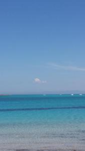 Mare Blu img57