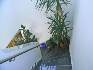 Apartment in Aschau near Ski Lift Kaltenbach