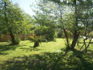 Appartements Apartment in Moriani-Plage by the Beach : photos des chambres