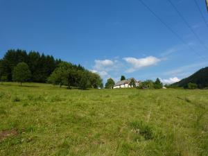 Maisons de vacances house perfect for hikers 10 miles from Gerardmer : photos des chambres