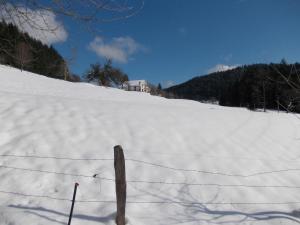 Maisons de vacances house perfect for hikers 10 miles from Gerardmer : photos des chambres