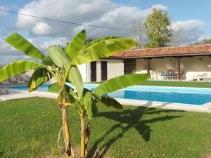 Maisons de vacances Luxurious Holiday Home in Buzon with Private Pool : photos des chambres