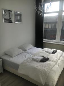 Apartment DaMaxx