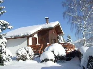Comfy chalet with dishwasher, in the High Vosges - 比桑