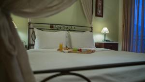 Double or Twin Room room in Evzin Hotel