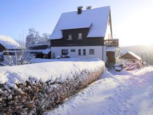 Comfortable Apartment in Langewiese Sauerland with private garden