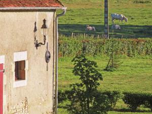 Maisons de vacances Private castle in Auvergne with river sun terrace and views : photos des chambres