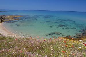 Hotel Blumarea, BW Signature Collection img70