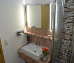 One-Bedroom Apartment room in Ferienwohnung 10 im Haus Hühnergott