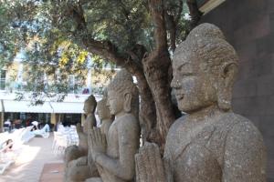 Hotel la Palmera & Spa