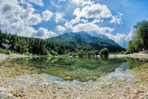 A Million Dollar View