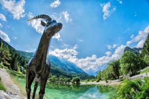 A Million Dollar View