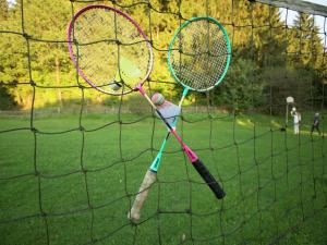 Chalet in Reinskopf with Fireplace and Balcony