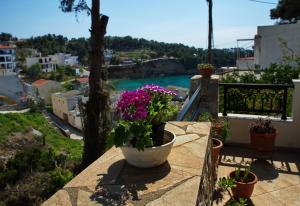 Pefka Apartments Alonissos Greece