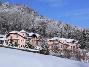 Modern Apartment in Pilgramsberg near Ski Slopes