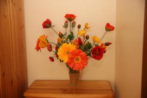 Tomsona Apartment Riga Center