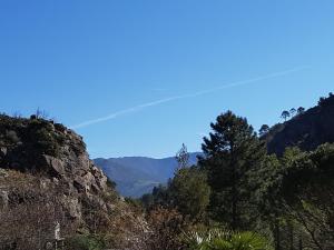 Hotels Hotel de la Restonica : Chambre Double - Vue sur Montagne